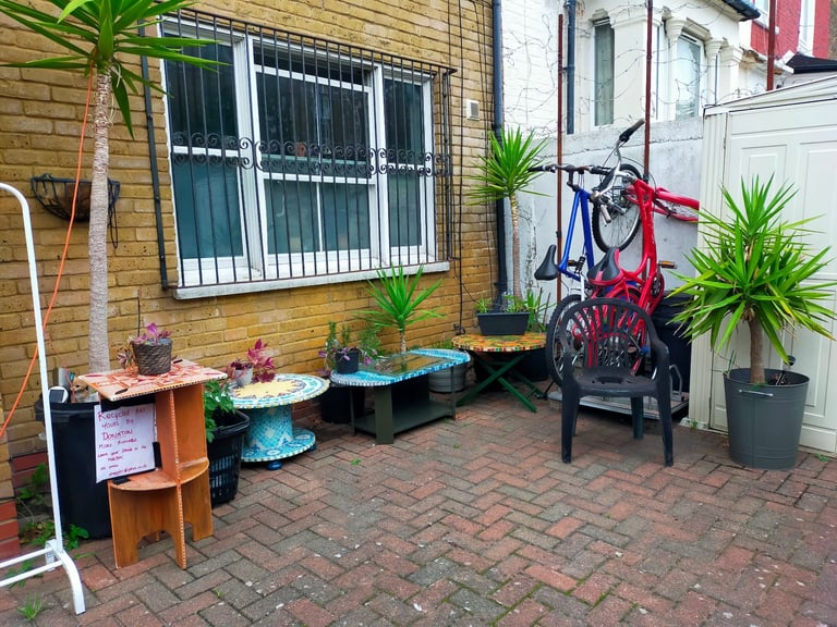 Yucca Trees from £50