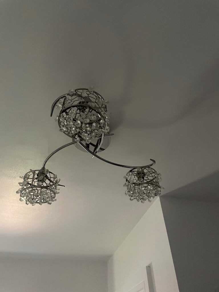 Silver ceiling Light