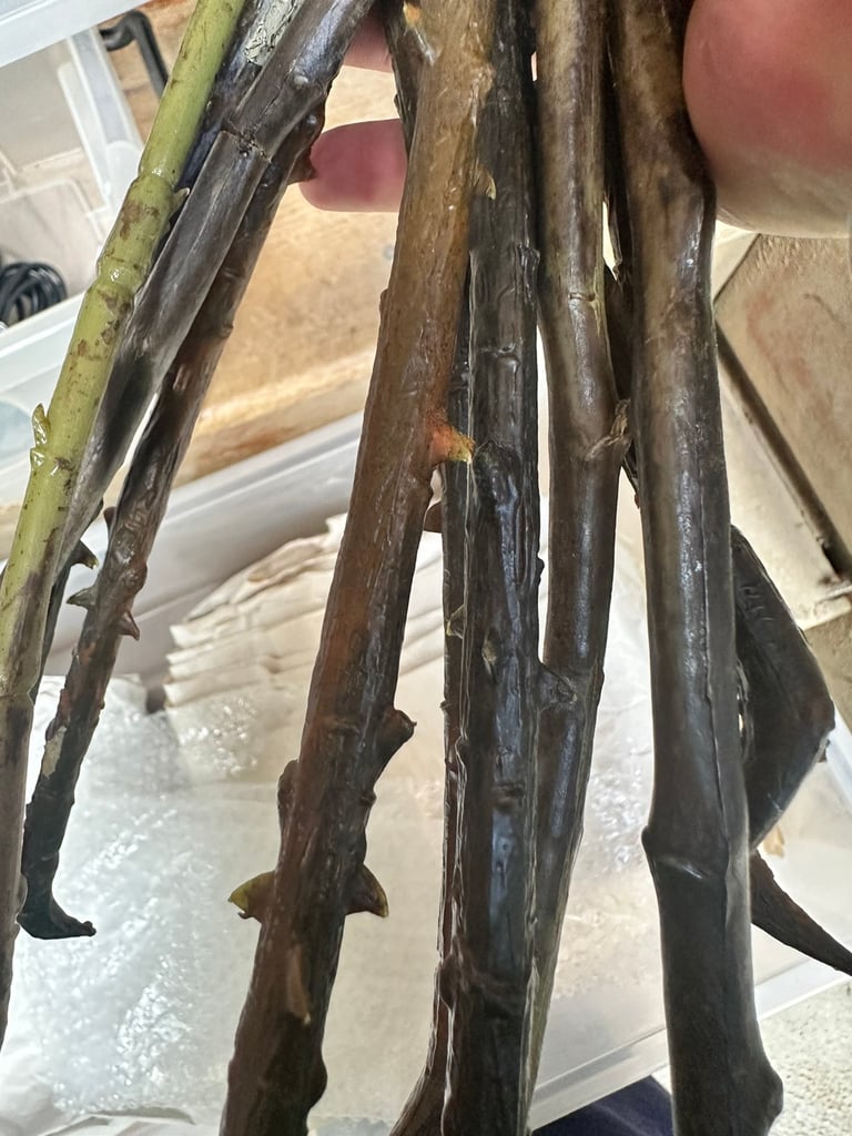 Large bunch of faux silk red roses with stems 