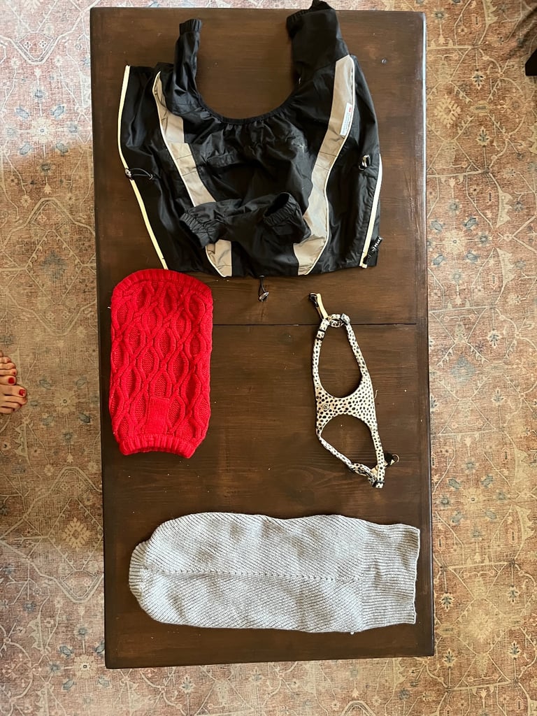 Puppy Accessory Bundle 