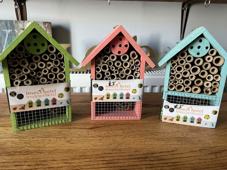 🐞🐛🦟🪲🐜 Bug insect hotel  £4 each 