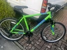 Green Falcon Merlin bike 