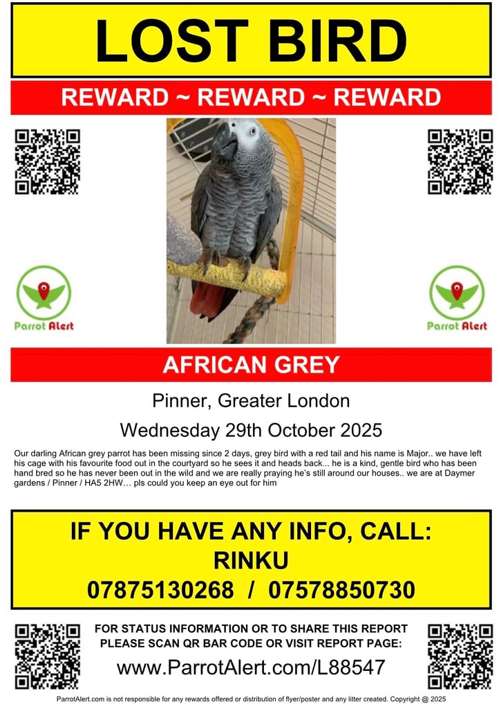 image for REWARD OFFERED!