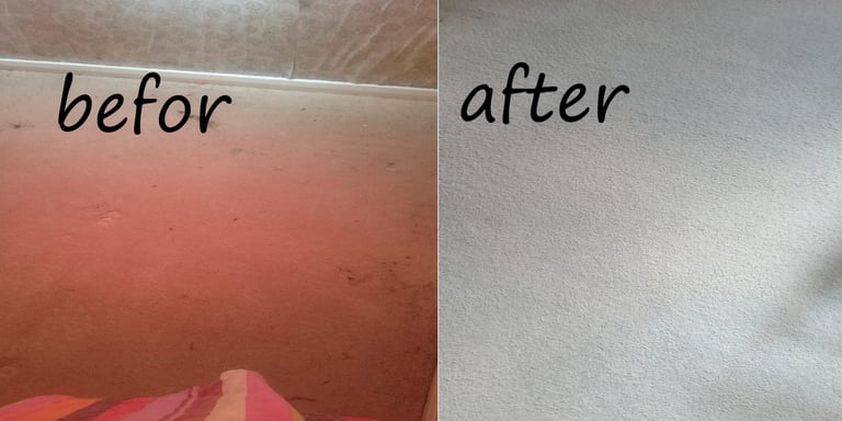 Carpet and upholstery professional cleaning services