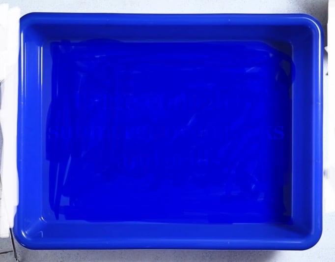 image for Super Large Cat Litter Tray and Bag of Cat San Litter