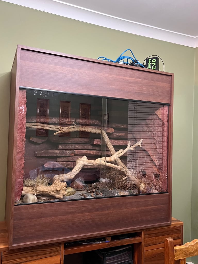 Custom 4ft Snake Enclosure – Fully Furnished, Premium Build – £500 (Collection Only)