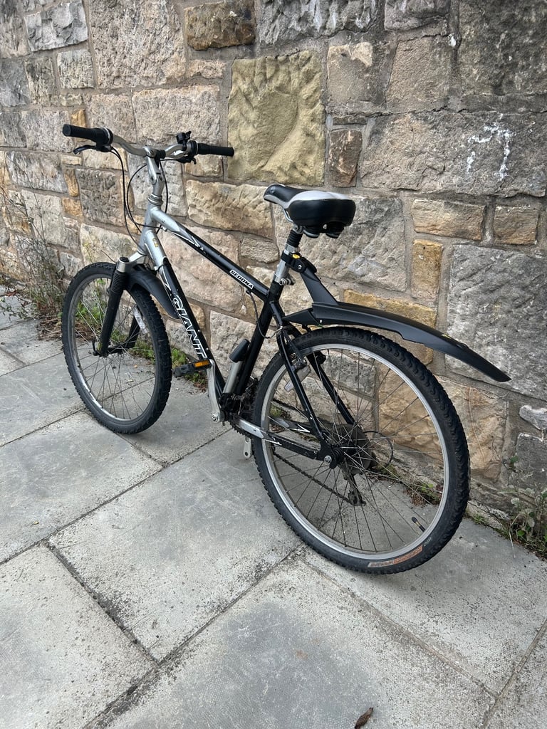 Giant brand bike 