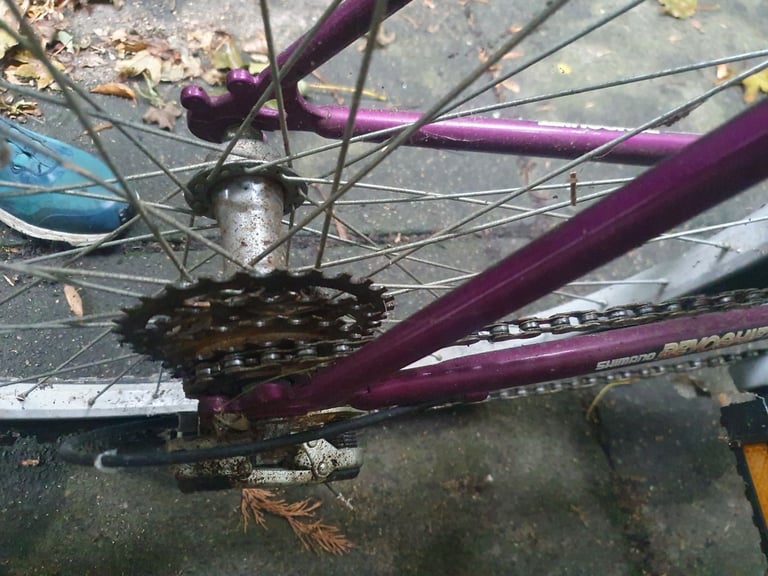 image for Ladies purple Saxon KONTIKI cycle