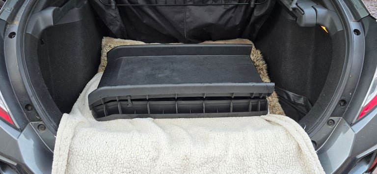 XL Dog ramp