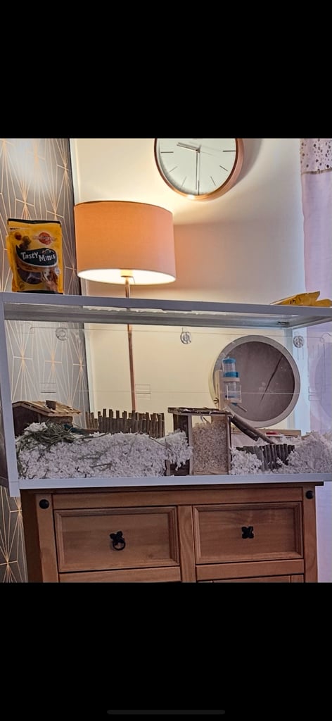 Large hamster cage for sale