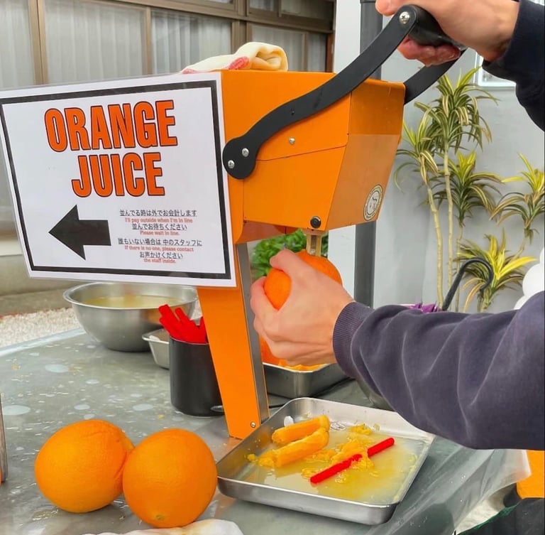 Fresh fruit juicer machine
