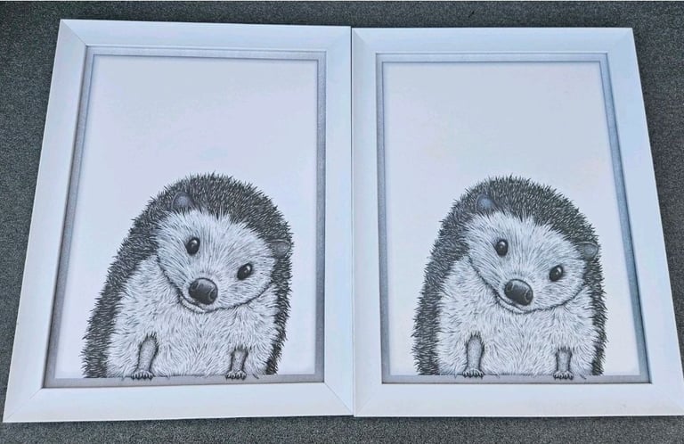 image for Next Hedgehog Photo Print  Cute Animal Wall Decor Home (Pair) 
