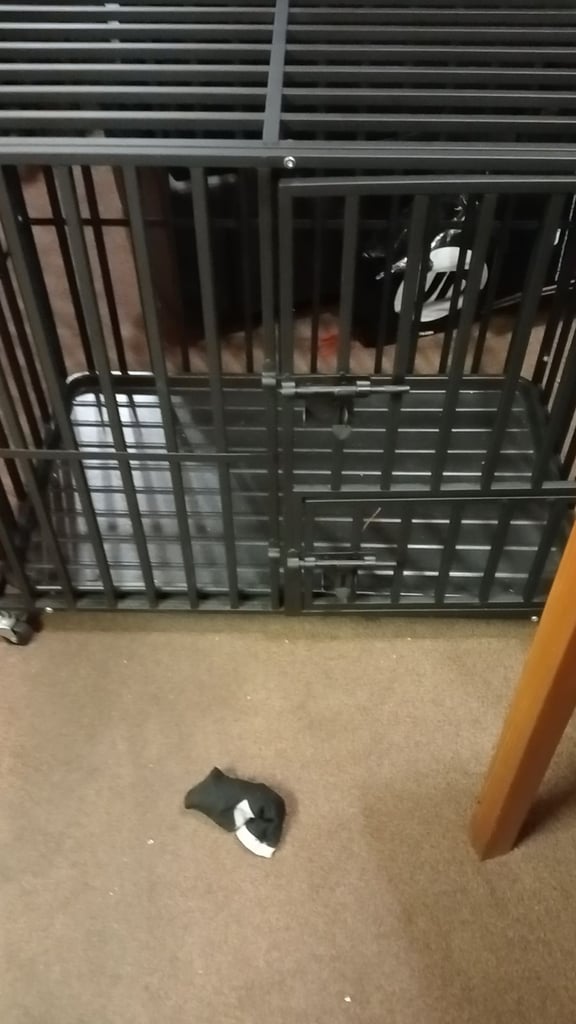 Large metal crate for animals 