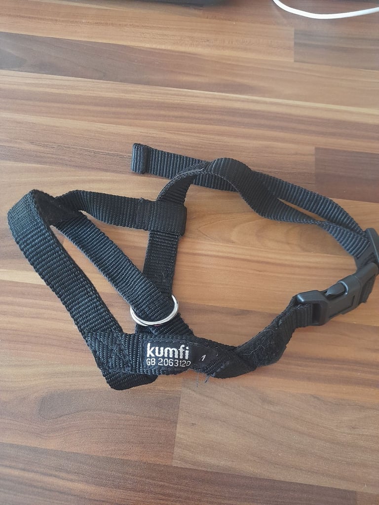 Dog collar & Free gift