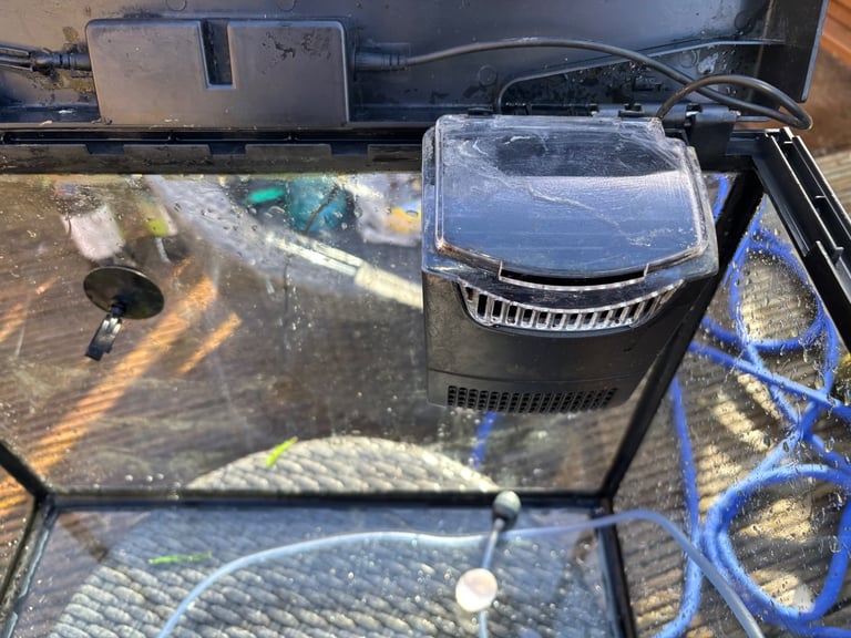 Tropical Fish tank including all you need to start. 