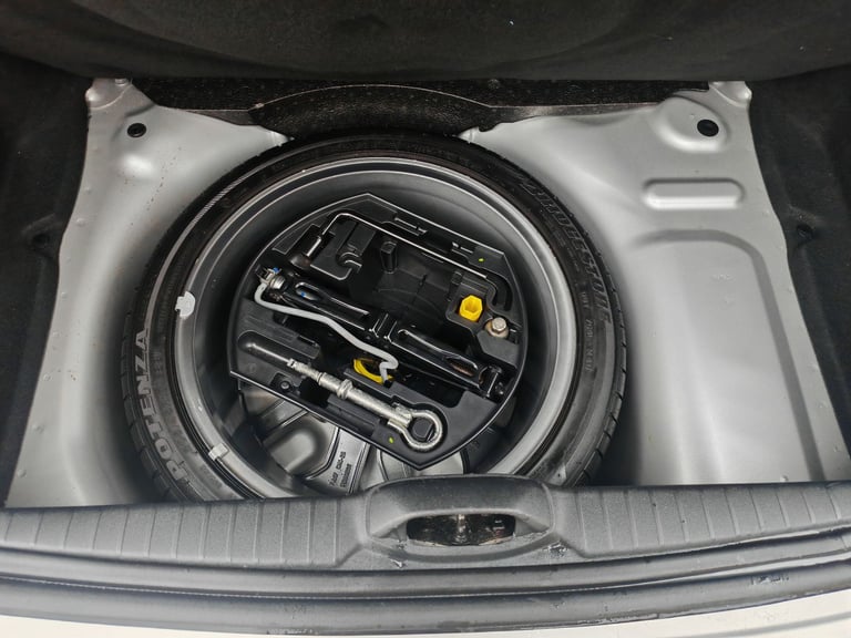 Rare chance to own a limited edition ICE Velvet 208