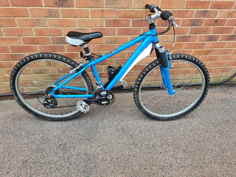 image for Ladies Mountain Bike 