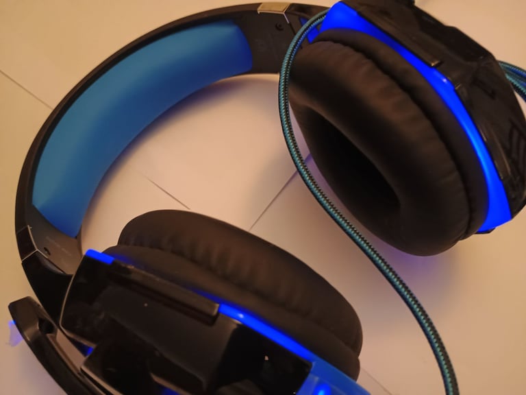Large Headphones with Microphone 