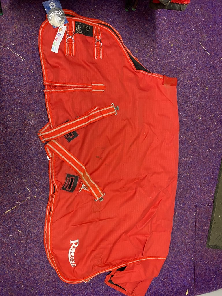 No Fill Outdoor Rug 4’0” BNWT