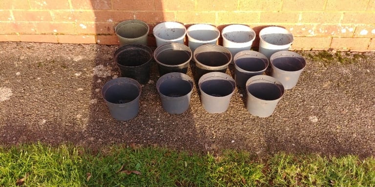 14 x Plant pots used only once 6 inch
