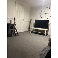 1 bedroom flat / studio flat wanted 