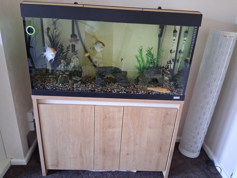 Aquarium and cabinet 