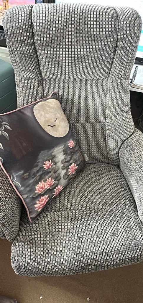 Leeks Reclining Back Chair £180