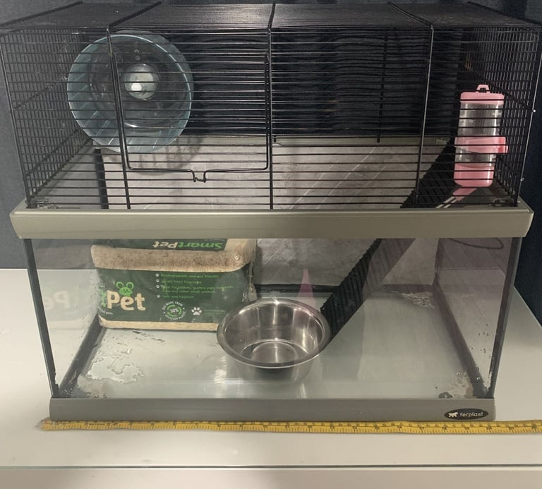 Glass Cage For Rodents 
