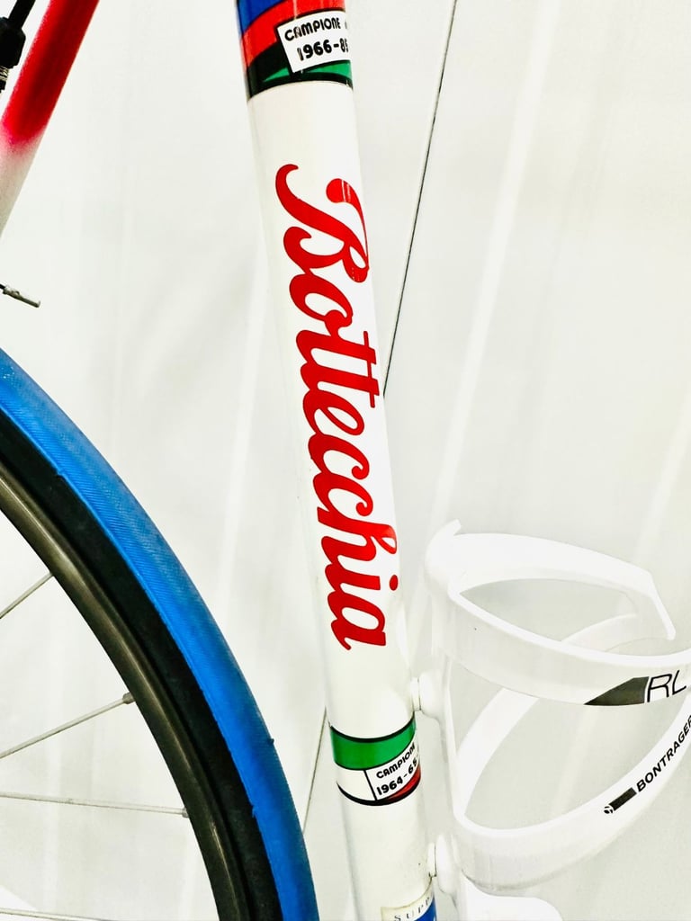 BOTTECHIA Size/L Super LW Road Bike  12 Speed 700c Wheels 