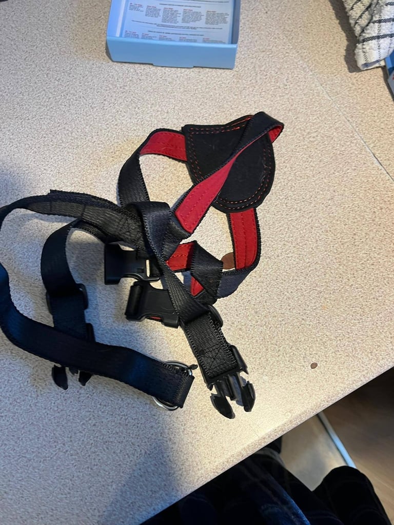 Dog car seat harness