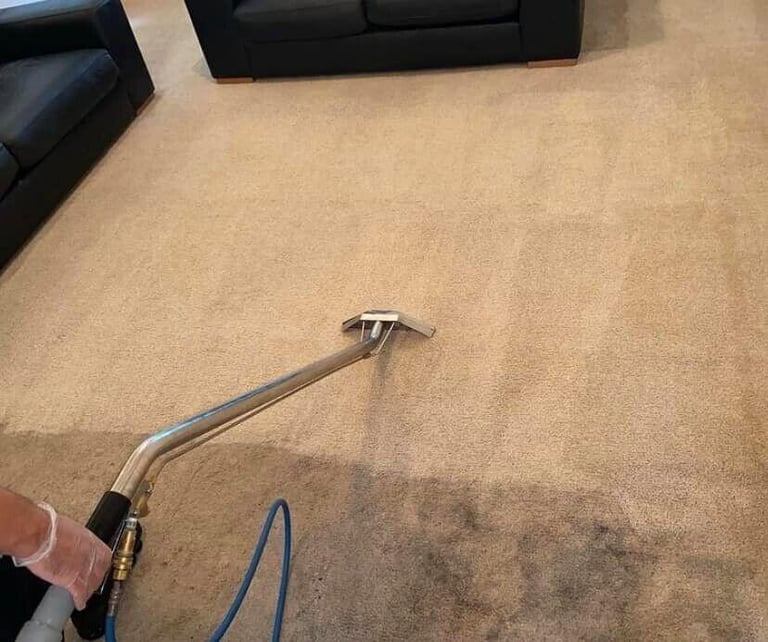 image for STEAM RUG & CARPET CLEANING / SOFAS & MATTRESS CLEANING, UPHOLSTERY & END OF TENANCY CLEAN