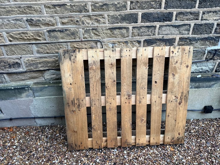 Pallet (free)