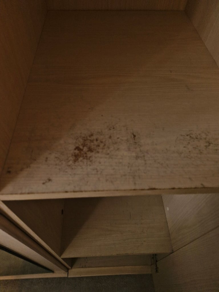 Wardobes. 2 big doubles and 1 single unit with shelves 