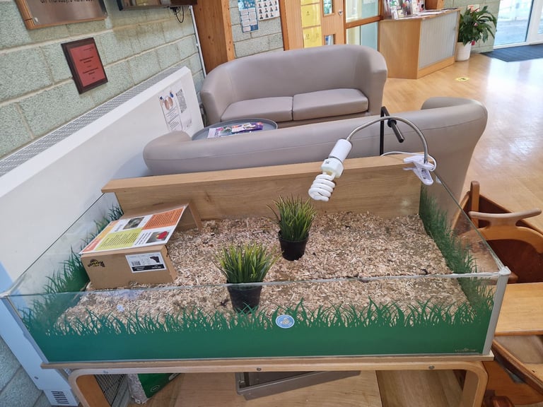 image for Tortoise Table - good condition 