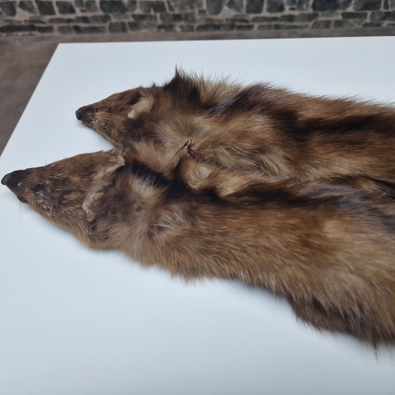 Vintage Real Mink Fur Stoles (Pair) – 75cm