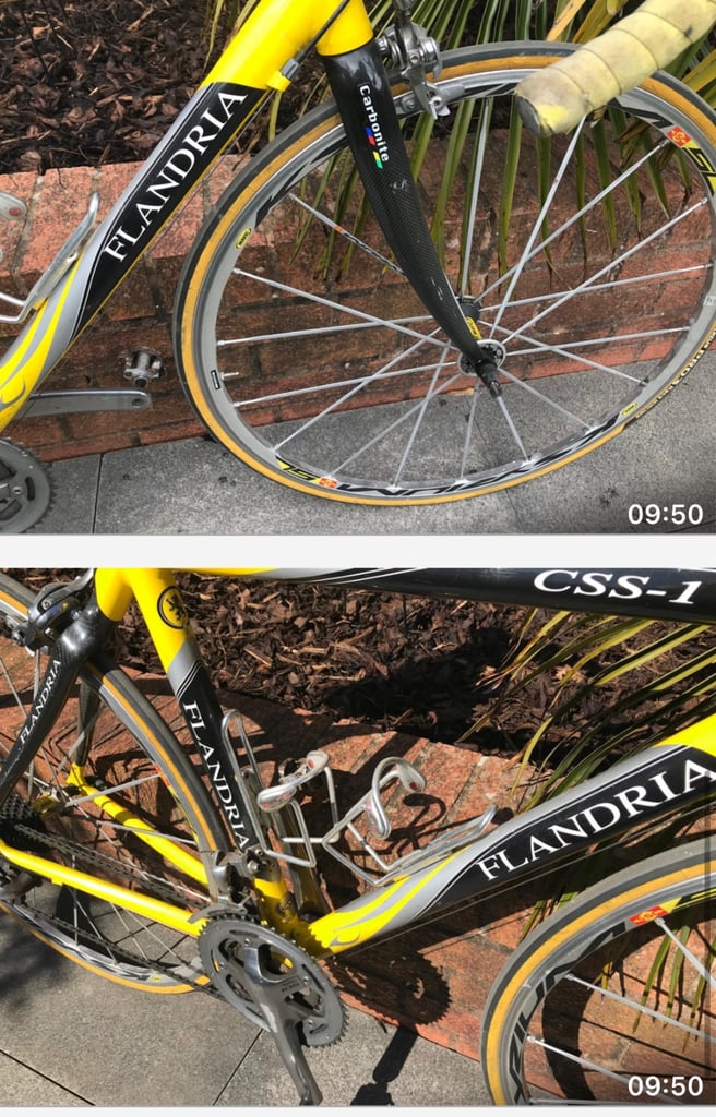 Flandria m2m bike