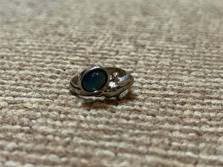 image for Dolphin mood ring 