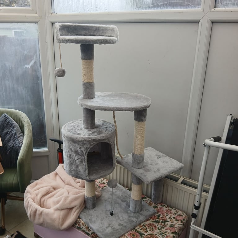 Bundle of cat / kitten items - some new.