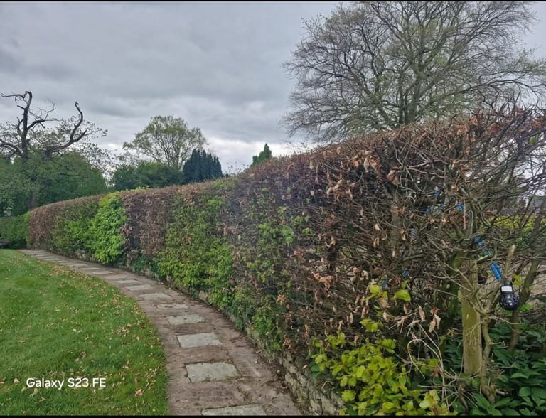 image for DNK GARDEN & HOME IMPROVEMENTS 