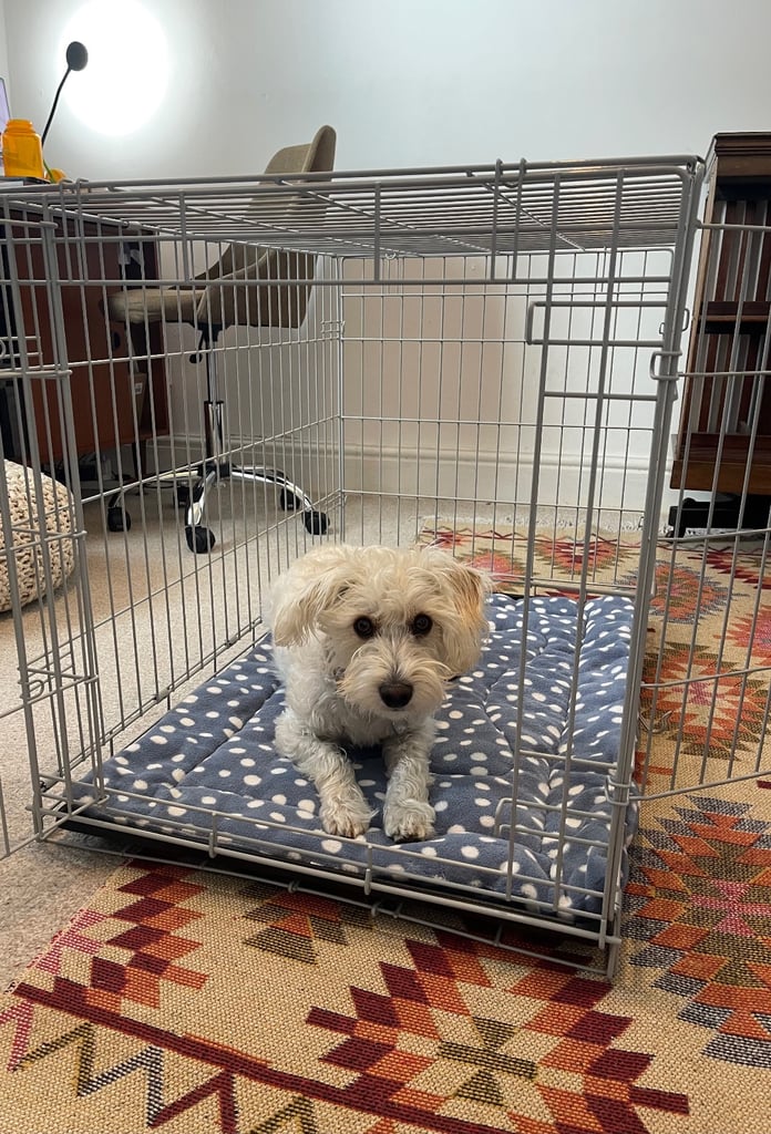 EXCELLENT CONDITION! Medium Dog Crate from Pets at Home RRP: £44