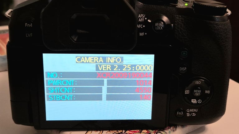 Panasonic lumix fz330 bridge camera 