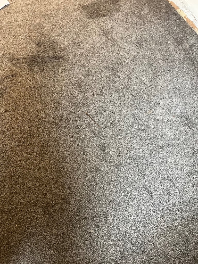 Grey carpet 7ft.by 4ft 