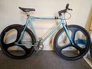 Fixed Wheel Bike (No Gears) for sale (custom build)