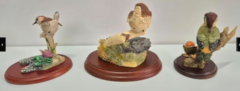 Collection of x15 display birds by Country Artists, Russell Willis and Views of Nature