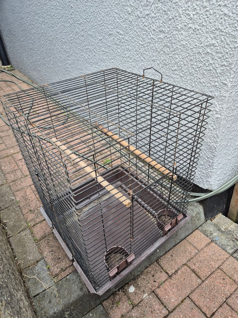 image for Bird Cage