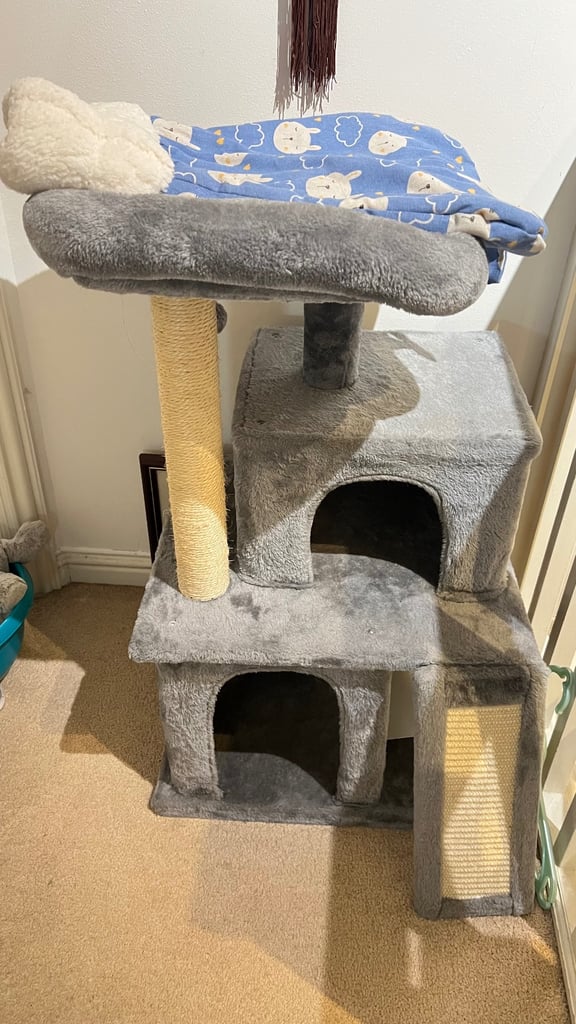 Cat Tree / Cat Tower for Sale