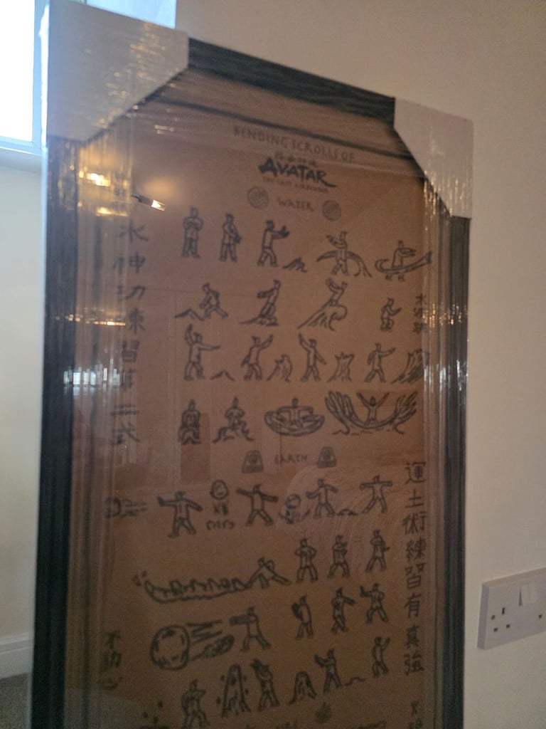 Avatar the last airbender professionally framed artwork