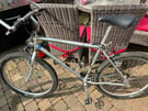 Men’s Raleigh Vogager