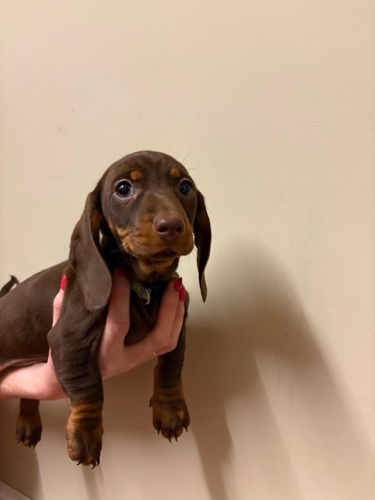 All SOLD