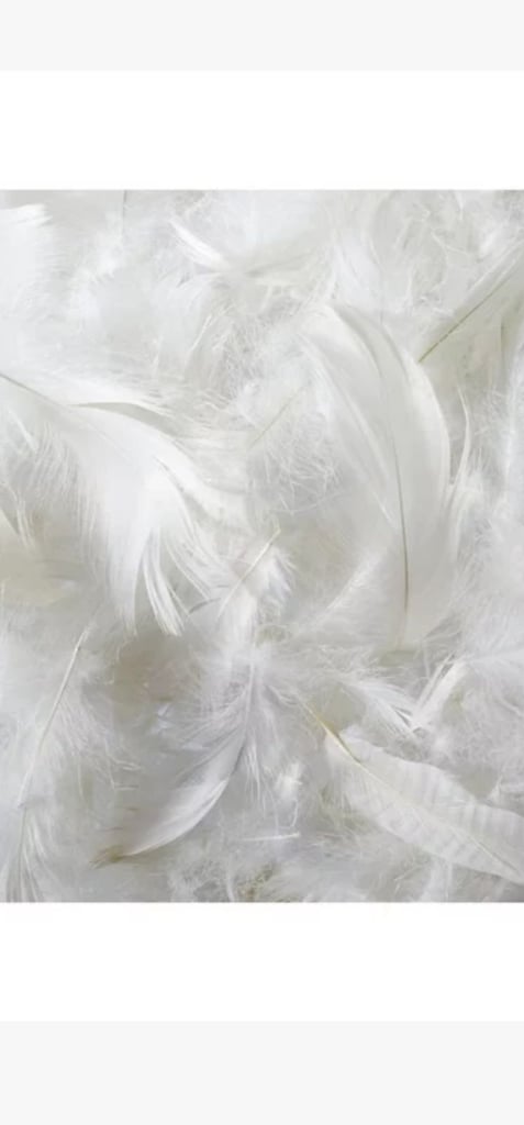 Natural collection siberian goose feather and down pillow standard medium